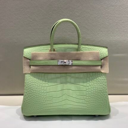 birkin25cm   🐊美洲alligator R9
